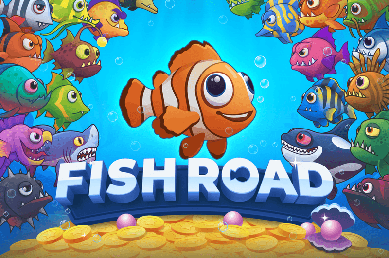 fishroad